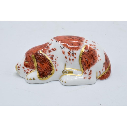 99L - Royal Crown Derby paperweight in the form of a puppy. First quality with stopper. In good condition ... 