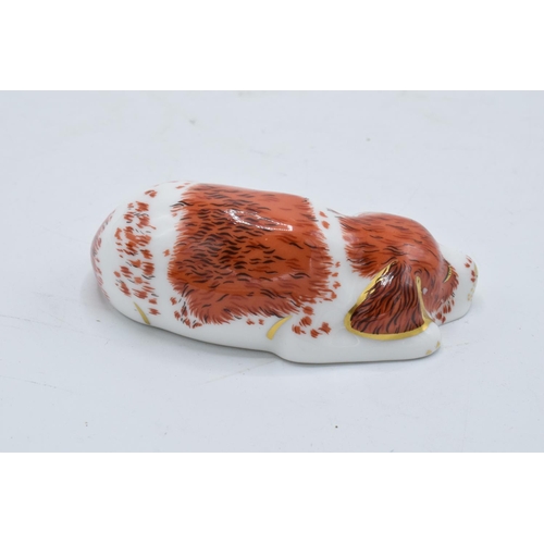 99L - Royal Crown Derby paperweight in the form of a puppy. First quality with stopper. In good condition ... 