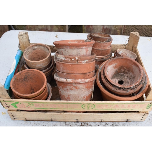 301N - A collection of antiques and vintage terracotta plant pots. 20+. NO POSTAGE.