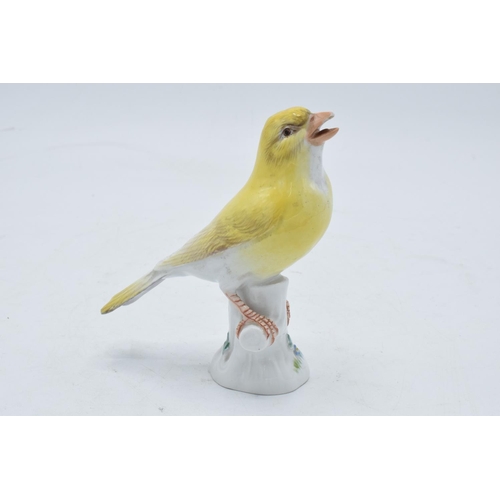 95I - An early 20th century Meissen figure of a yellow canary with crossed swords mark and '227' inprinted... 