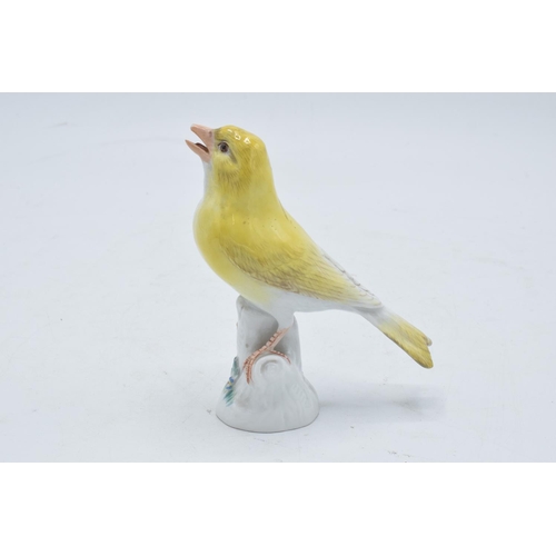 95I - An early 20th century Meissen figure of a yellow canary with crossed swords mark and '227' inprinted... 