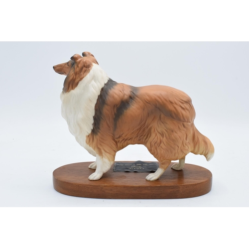 148 - Beswick Connoisseur model of Rough Collie mounted on a wooden base. 20cm tall. In good condition wit... 