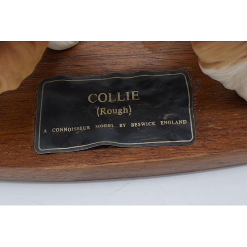 148 - Beswick Connoisseur model of Rough Collie mounted on a wooden base. 20cm tall. In good condition wit... 