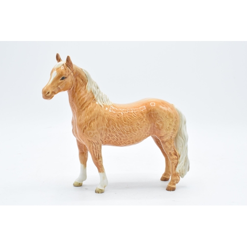 Beswick Pinto pony in Palomino colourway 1373. 17cm tall. In good condition with no obvious damage or restoration. The piece has some minor fine crazing apparent. Mentioned for accuracy are two minor flea bite chips to the left feet though are 1 or 2mm each.