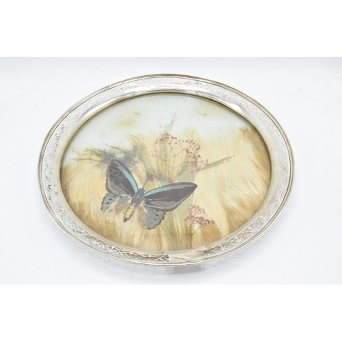 389B - An unusual sterling silver circular tray with pierced edges decorated with dried glass and foliage. ... 