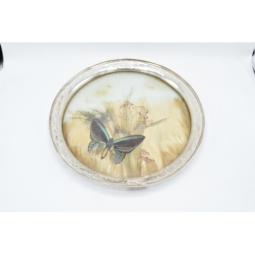 389B - An unusual sterling silver circular tray with pierced edges decorated with dried glass and foliage. ... 