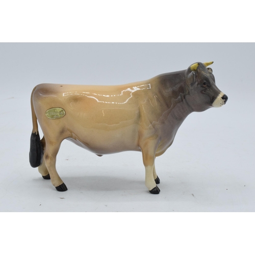 143 - Beswick Jersey Bull Ch. Dunsley Coy Boy 1422. In good condition with no obvious damage or restoratio... 