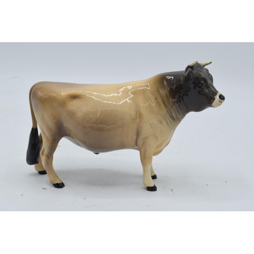 144 - Beswick Jersey Bull Ch. Dunsley Coy Boy 1422. In good condition with no obvious damage or restoratio... 