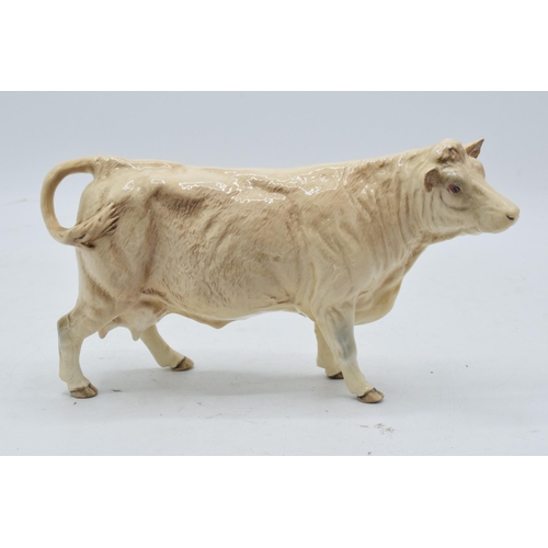 148 - Beswick Charolais Cow 3075A. In good condition with no obvious damage or restoration apart from a mi... 