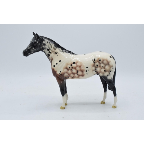 150 - Beswick (Royal Doulton) Appaloosa Horse 1772. 20cm tall. In good condition with no obvious damage or... 