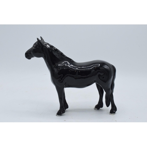 151 - Beswick Fell Pony 1647. 17cm tall. In good condition with no obvious damage or restoration.