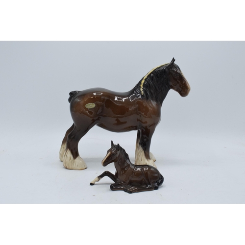 152 - Beswick brown shire 818 together with lying pony 915 (Doulton Backstamp) (2). In good condition with... 