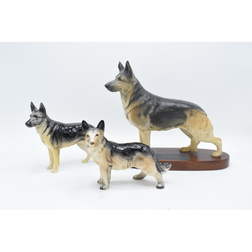 171 - A collection of Beswick to include a Connoisseur model of an Alsatian on base, Alsatian and another ... 