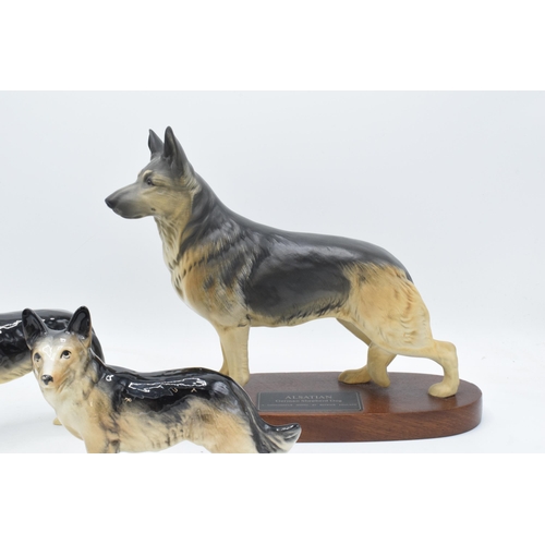 171 - A collection of Beswick to include a Connoisseur model of an Alsatian on base, Alsatian and another ... 