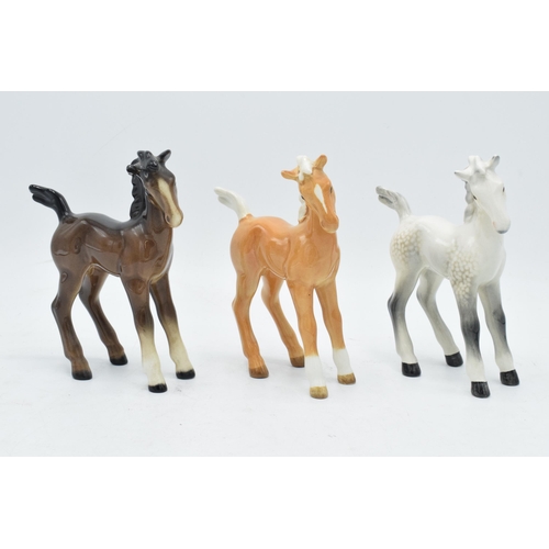 167 - A collection of Beswick comical-type foal 728 in various colourways to include brown, grey and palom... 