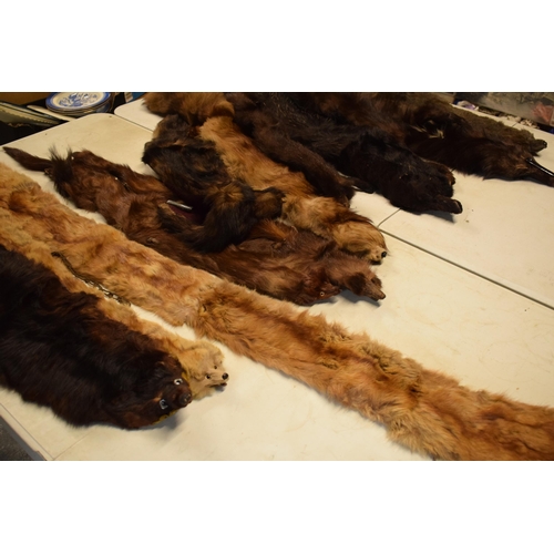 227 - A good collection of mink and similar fur stoles