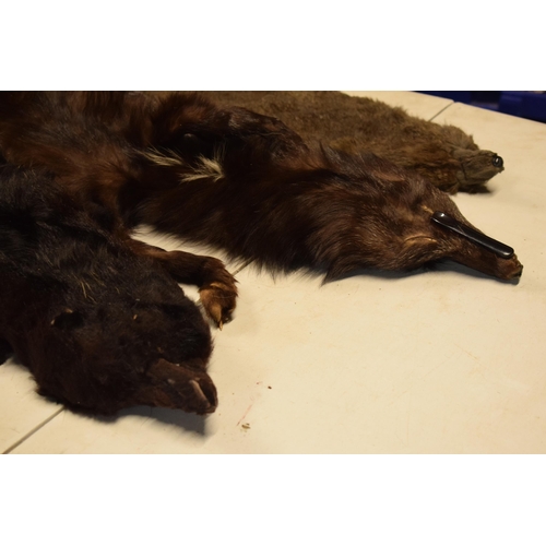 227 - A good collection of mink and similar fur stoles