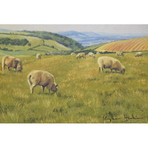 A framed oil on canvas of sheep titled 'Grazing on the Tops' by Stephen Hawkins (British Artist). ARR applies. Previously sold at Bonhams. 38 x 33cm inc frame. Appears to be in good condition with some minor knocks and losses to the frame. Oil in good condition.