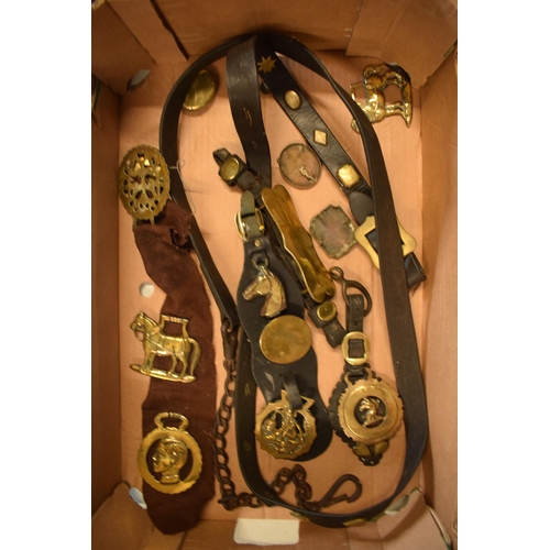 285 - A collection of horse hames and brasses, some mounted, including card suites and various others (Qty... 