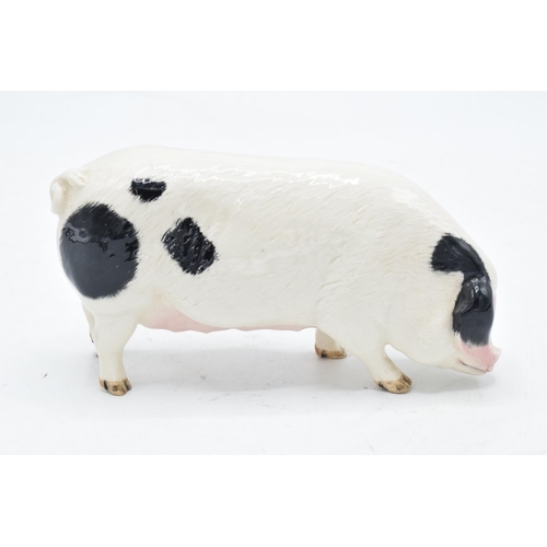 160C - Royal Doulton (Beswick) model of a Gloucester Old Spot Pig. In good condition with no obvious damage... 