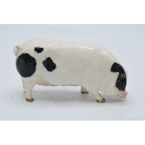 160C - Royal Doulton (Beswick) model of a Gloucester Old Spot Pig. In good condition with no obvious damage... 