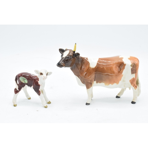 160D - Beswick Hereford Calf 1406B together with Ayshire Cow Ch Ickham Bessie 1350 af (2). In good conditio... 