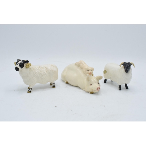 160E - Beswick sheep to include Black Faced Sheep 1765, Black Faced Ram and Pig and Piglet 2746 (3). In goo... 