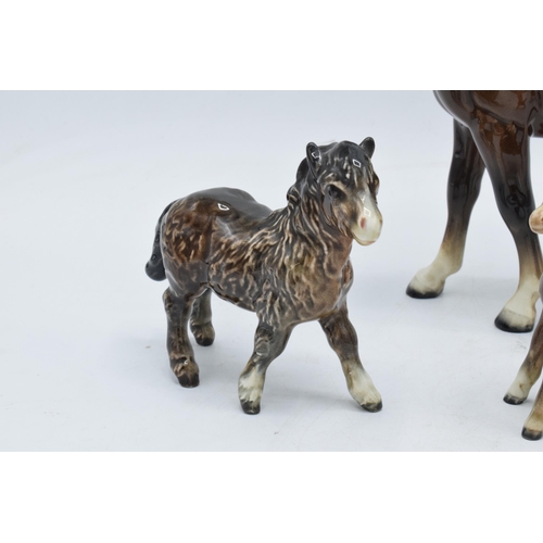 144 - A collection of brown Beswick horses and foals to include mare facing left 976, early Shetland foal,... 