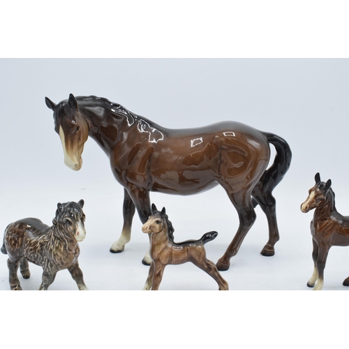 144 - A collection of brown Beswick horses and foals to include mare facing left 976, early Shetland foal,... 