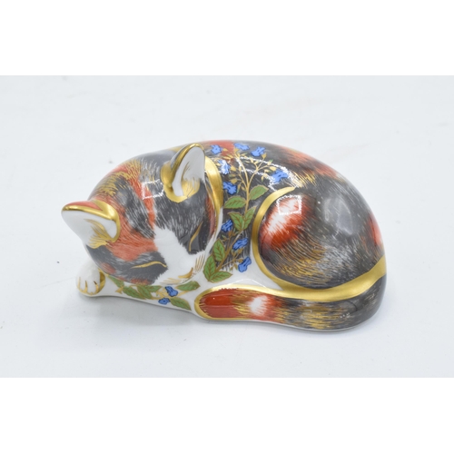 161 - Royal Crown Derby paperweight in the form of a Catnip Kitten. First quality with stopper. In good co... 