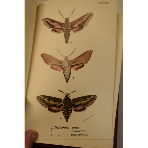 265 - Antique Hardback Books: 15 volumes Allens 'The Naturalists' Library', published by John Shaw and Co ... 