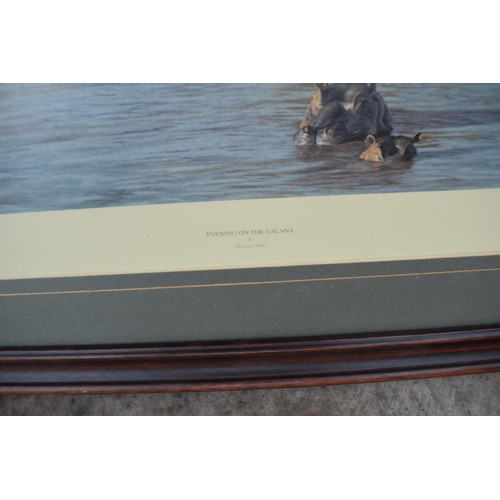 290 - A framed limited edition print 'Evening on the Galana' by Anthony Gibbs 665/1000. 103 x 67cm inc fra... 