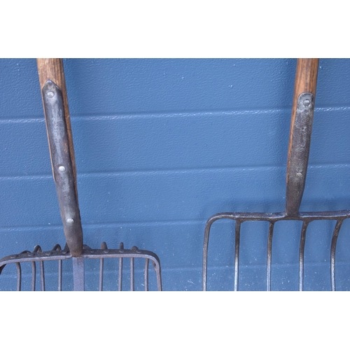 336 - Agricultural interest: a root basket / beet fork together with a potato fork, one made by Brades Co ... 