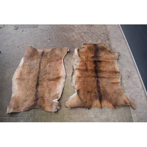 360 - A pair of deer skin rugs / mats (2). Largest approx 140 x 110cm. There is an inch hole in one.