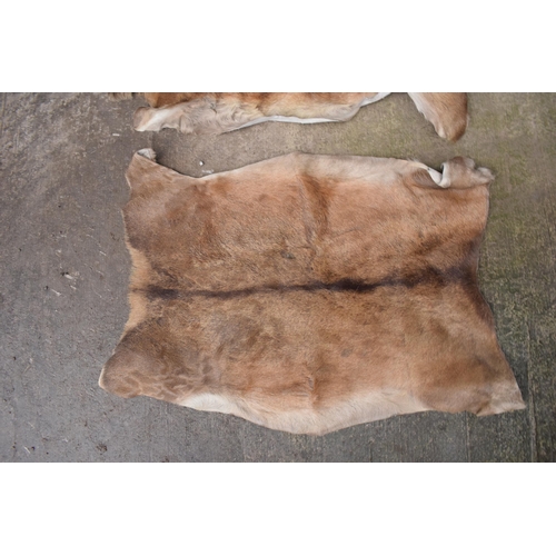 360 - A pair of deer skin rugs / mats (2). Largest approx 140 x 110cm. There is an inch hole in one.