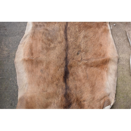 360 - A pair of deer skin rugs / mats (2). Largest approx 140 x 110cm. There is an inch hole in one.