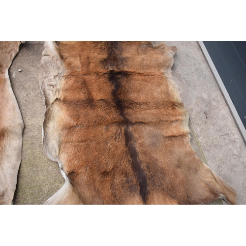 360 - A pair of deer skin rugs / mats (2). Largest approx 140 x 110cm. There is an inch hole in one.