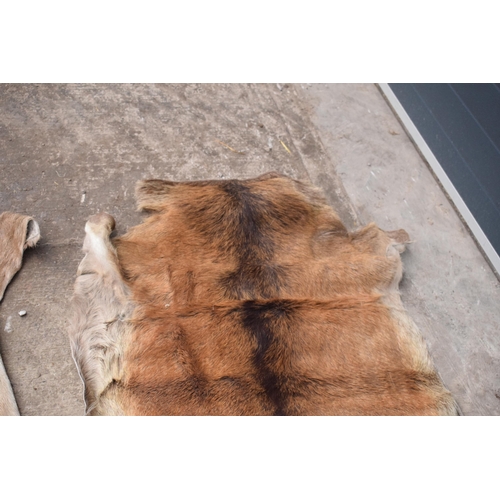 360 - A pair of deer skin rugs / mats (2). Largest approx 140 x 110cm. There is an inch hole in one.