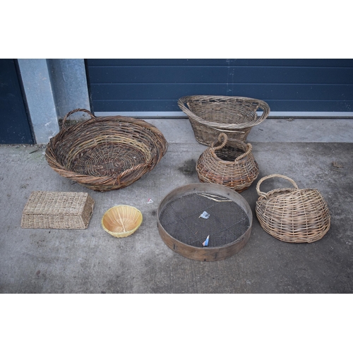 363 - A good collection of wicker baskets of various forms to include shallow examples, wall hanging baske... 