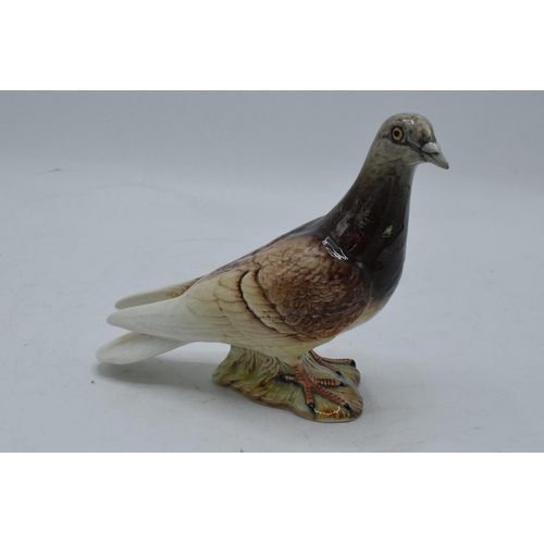 92 - Beswick pigeon 1383. In good condition no obvious damage or restoration.