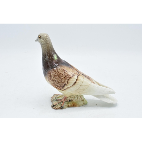 92 - Beswick pigeon 1383. In good condition no obvious damage or restoration.