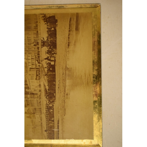 255 - A Victorian photograph behind glass by James Vincent of Blackpool Tower, plate number 20002.