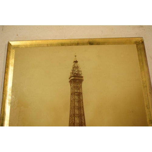 255 - A Victorian photograph behind glass by James Vincent of Blackpool Tower, plate number 20002.