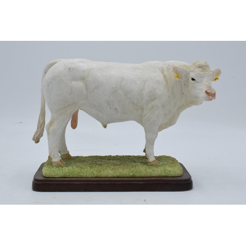 90 - Border Fine Arts Charolais Bull A26091. In good condition with no obvious damage or restoration. 21c... 