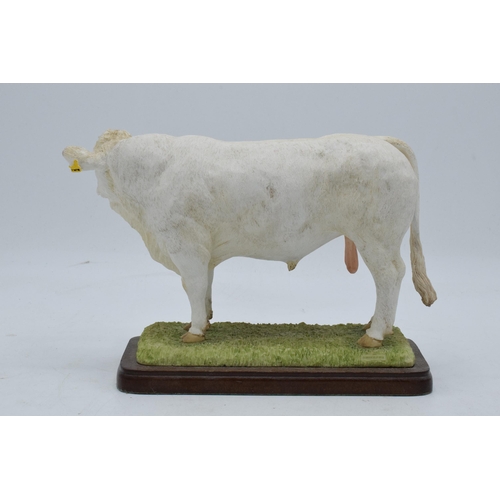 90 - Border Fine Arts Charolais Bull A26091. In good condition with no obvious damage or restoration. 21c... 