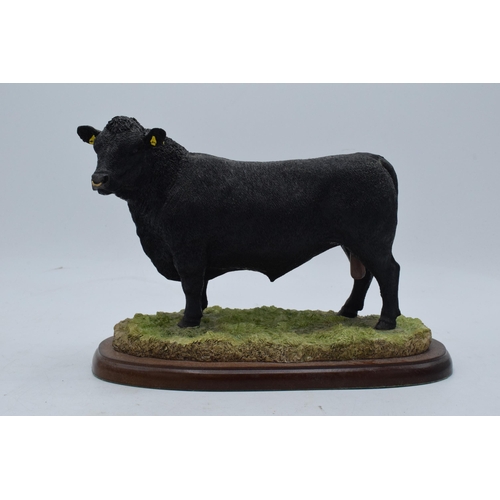 91 - Border Fine Arts Aberdeen Angus Bull A26896. In good condition with no obvious damage or restoration... 