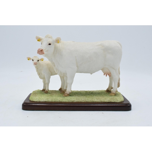 93 - Border Fine Arts Charolais Cow and Calf A26092. In good condition with no obvious damage or restorat... 