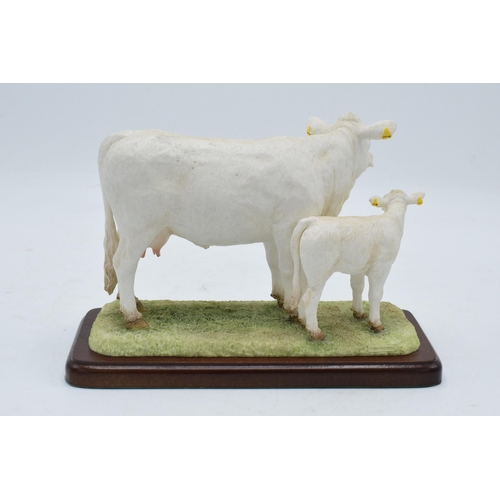 93 - Border Fine Arts Charolais Cow and Calf A26092. In good condition with no obvious damage or restorat... 