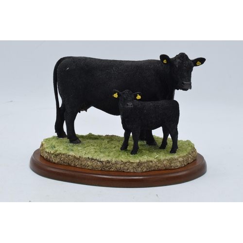 94 - Border Fine Arts Aberdeen Angus Cow and Calf A27067. In good condition with no obvious damage or res... 