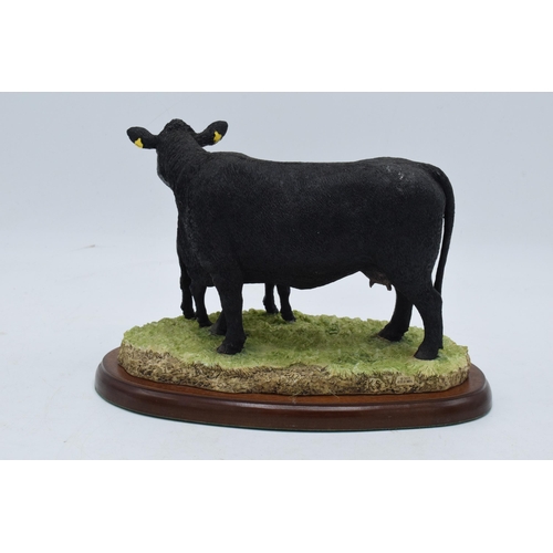 94 - Border Fine Arts Aberdeen Angus Cow and Calf A27067. In good condition with no obvious damage or res... 